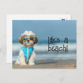 Shih Tzu Puppy mit Sonnenbrille Postkarte (Vorne/Hinten)