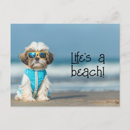 Shih Tzu Puppy mit Sonnenbrille Postkarte (Vorderseite)