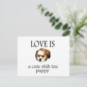 Shih Tzu Puppy Postkarte (Stehend Vorderseite)