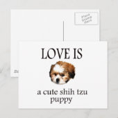 Shih Tzu Puppy Postkarte (Vorne/Hinten)