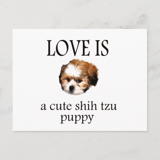 Shih Tzu Puppy Postkarte (Vorderseite)