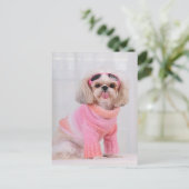 Shih Tzu Puppy - The Razz Postkarte (Stehend Vorderseite)