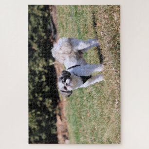 Shih Tzu Puzzle