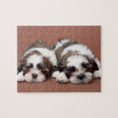 Shih Tzu Puzzle (Horizontal)