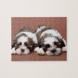 Shih Tzu Puzzle