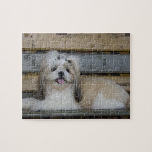 Shih Tzu Puzzle (Horizontal)