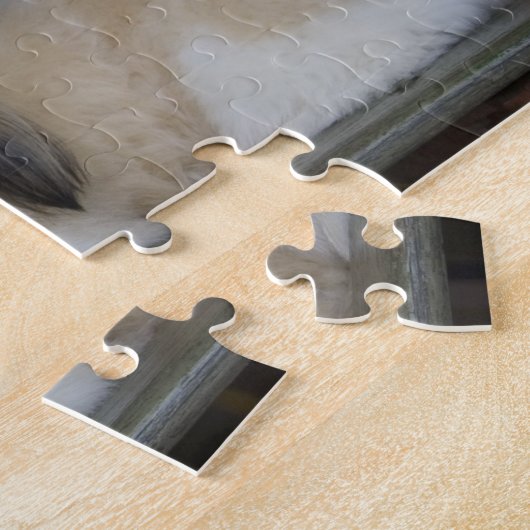 Shih Tzu Puzzle (Seite)