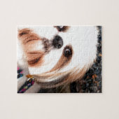 Shih Tzu Puzzle (Horizontal)