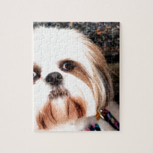 Shih Tzu Puzzle