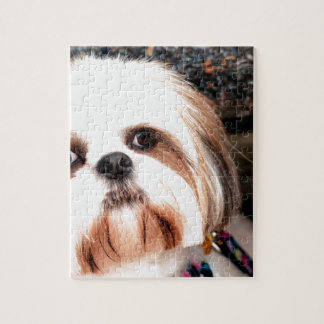 Shih Tzu Puzzle