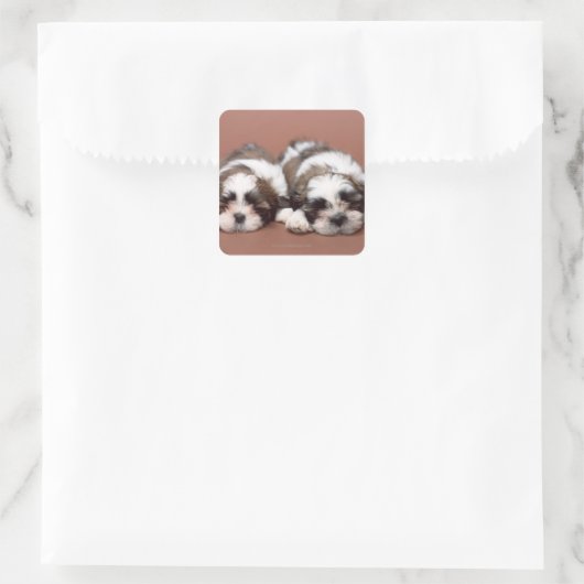 Shih Tzu Quadratischer Aufkleber (Tasche)