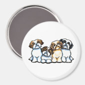 Shih Tzu Quarttet Magnet (Vorderseite/Rückseite)