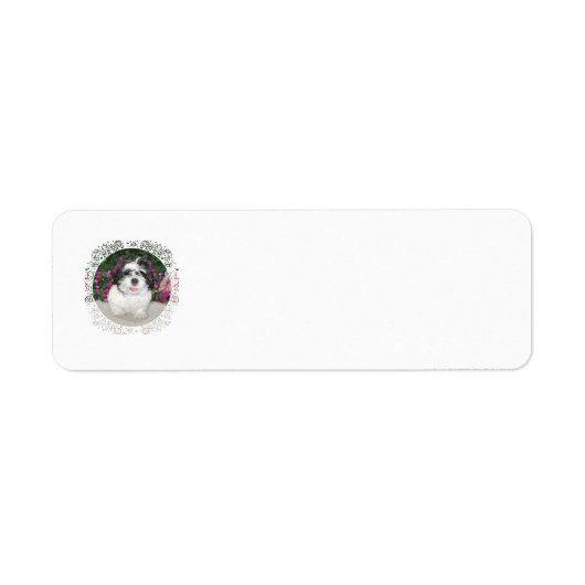 Shih Tzu Rescue Address Labels (Vorne)
