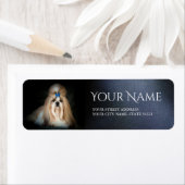 Shih Tzu Rücksendeadresse (Insitu)