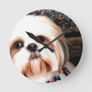 Shih Tzu Runde Wanduhr