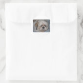 Shih Tzu Runder Aufkleber (Tasche)