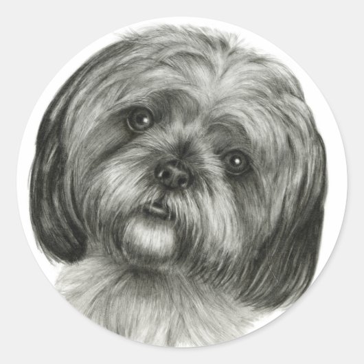 Shih Tzu Runder Aufkleber (Vorderseite)