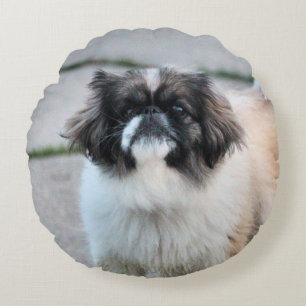 Shih Tzu Rundes Kissen