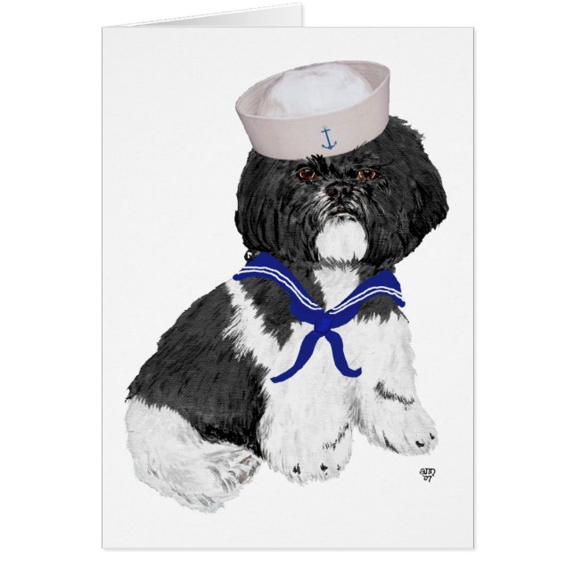 Shih Tzu Sailor (Vorne)