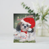 Shih Tzu Santa Paws Geschenke Feiertagspostkarte (Stehend Vorderseite)