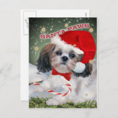 Shih Tzu Santa Paws Geschenke Feiertagspostkarte (Vorne/Hinten)