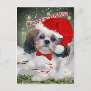 Shih Tzu Santa Paws Geschenke Feiertagspostkarte