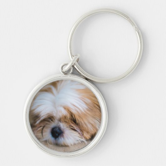 Shih Tzu Schlüsselanhänger (Vorne)