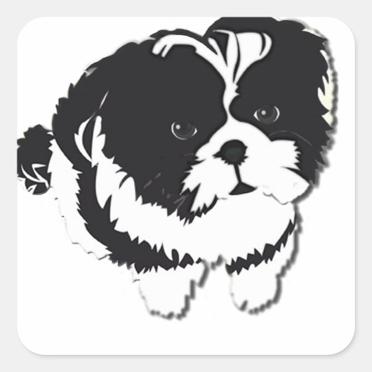 Shih Tzu Schwarz-weiß Dog Pet Quadratischer Aufkleber (Vorderseite)