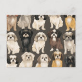Shih Tzu Serenity Card Postkarte (Vorderseite)