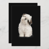 Shih Tzu| Shih Tzu Welpe Geschenk Dankeskarte (Vorne/Hinten)