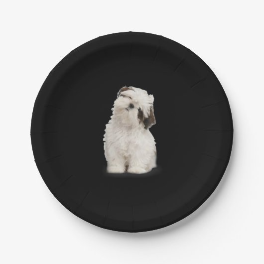 Shih Tzu | Shih Tzu Welppy Gift Pappteller (Vorderseite)