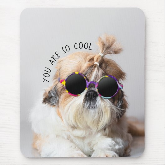 Shih Tzu Sie sind so Cool niedlicher Spaß Sonnenbr Mousepad (Vorne)