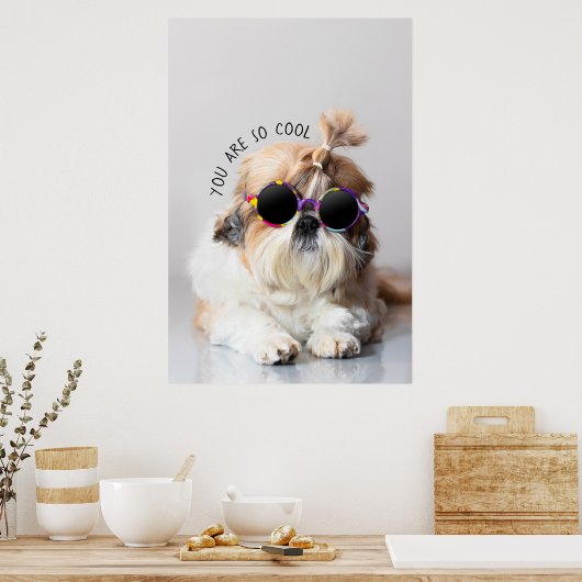 Shih Tzu Sie sind so Cool niedlicher Spaß Sonnenbr Poster (Küche)