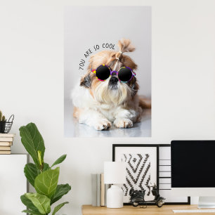 Shih Tzu Sie sind so Cool niedlicher Spaß Sonnenbr Poster