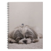 Shih tzu Sleeping Hund Notizblock (Vorderseite)