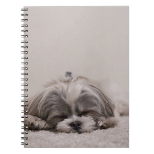 Shih tzu Sleeping Hund Notizblock