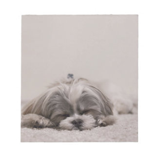 Shih tzu Sleeping Notepad , Sleeping Dog Notizblock