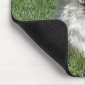 shih tzu spielen mousepad (Ecke)