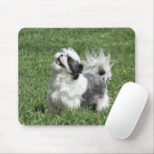 shih tzu spielen mousepad (Mit Mouse)