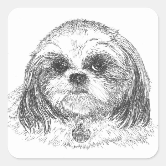 Shih Tzu Square Sticker (Vorderseite)