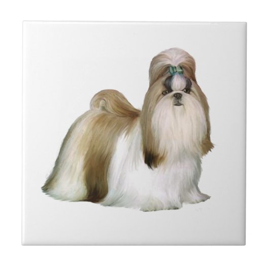 Shih Tzu (Stand anzeigen) Fliese (Vorderseite)