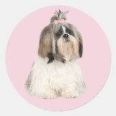 Shih Tzu Sticker (Vorderseite)