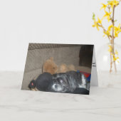 Shih Tzu Sympathy Card Karte (Gelbe Blume)