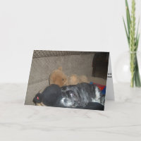 Shih Tzu Sympathy Card