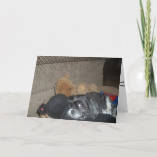 Shih Tzu Sympathy Card Karte
