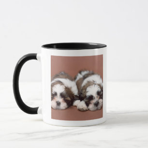 Shih Tzu Tasse
