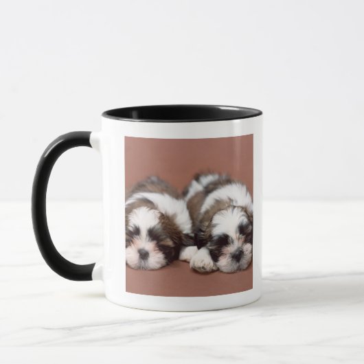 Shih Tzu Tasse (Links)