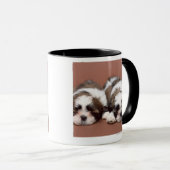 Shih Tzu Tasse (VorderseiteRechts)