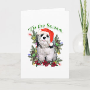 Shih Tzu 'Tis die Saison Feiertagskarte