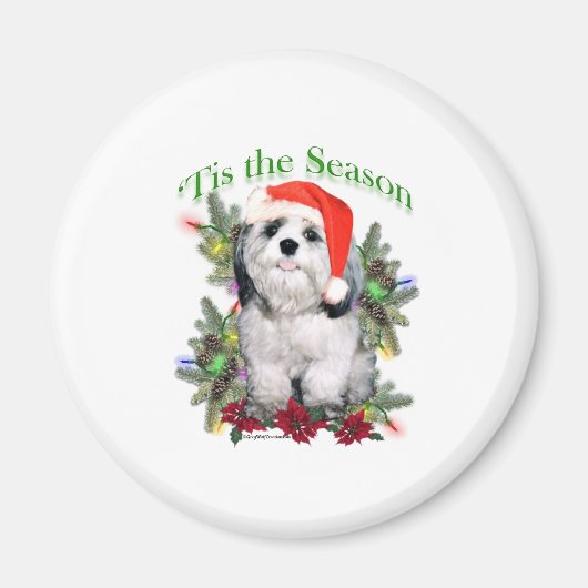 Shih Tzu "Tis Magnet (Vorne)